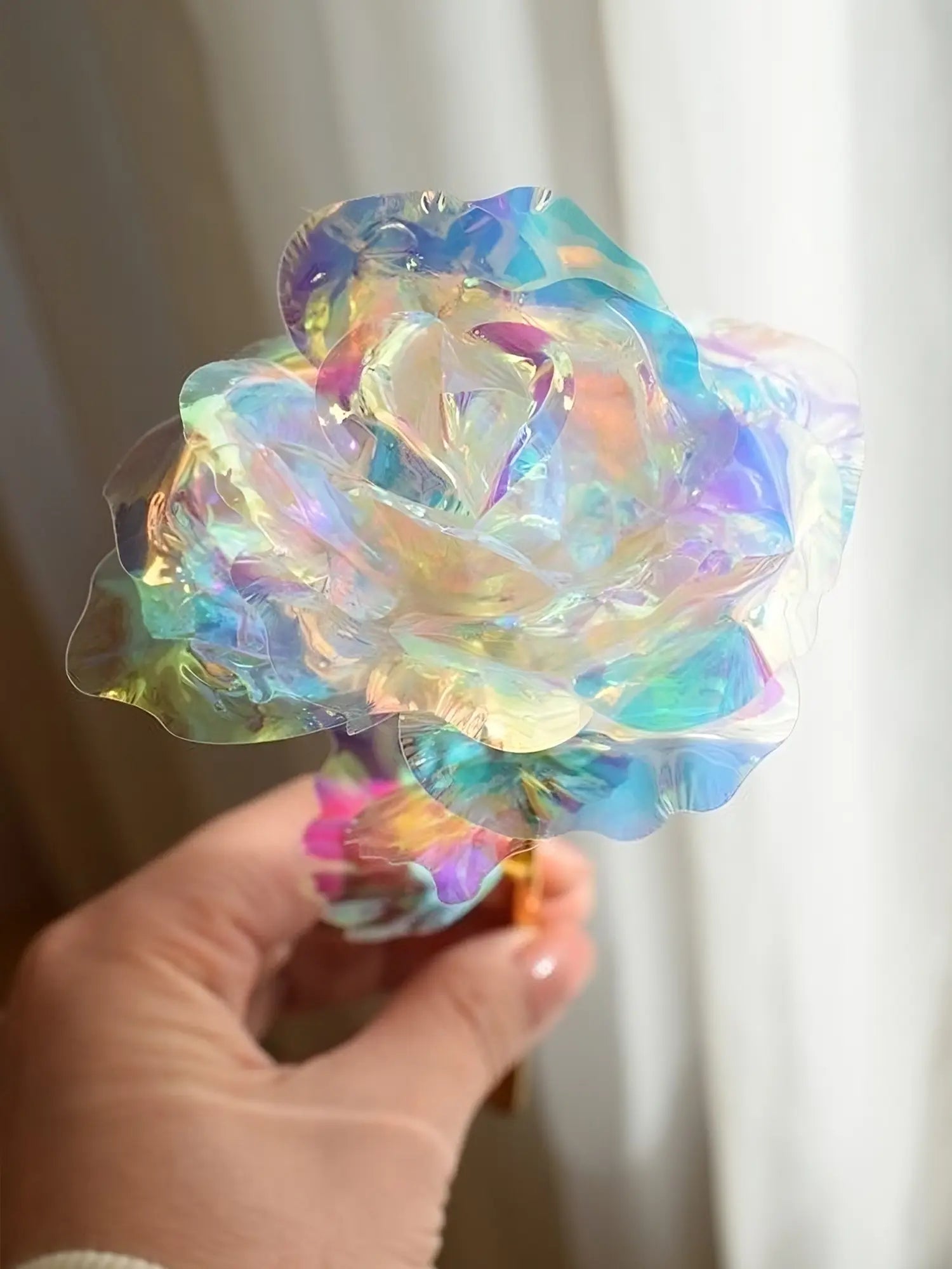 Galaxy Rose