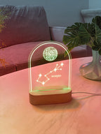 Daily Zodiac Lamp